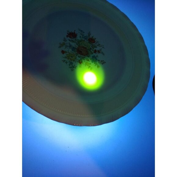 MacBeth Evans Depression Vintage Floral Cremax-Oxford-Bouquet Uranium Glass Plat - Picture 6 of 7